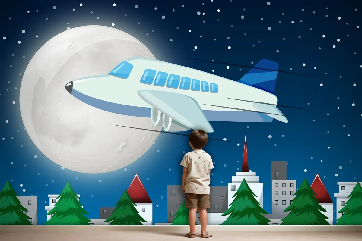 Airplane Flying Over Sky At Night Wallpaper Mural